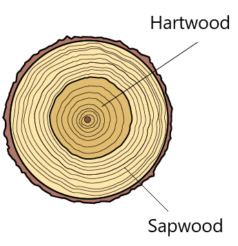 Why protect softwood timbers? | Nordic Wood Preservation Council